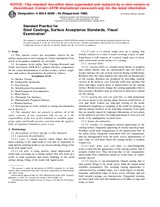 ASTM A802/A802M-95(1996) (1.1.2001)