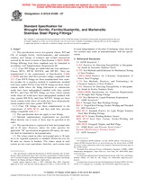 ASTM A815/A815M-07 (1.4.2007)