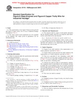 ASTM B116-95(2007) (15.3.2007)