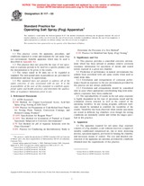 ASTM B117-03 (1.10.2003)