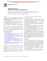 ASTM B117-09 (1.7.2009)
