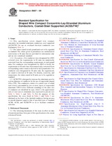 ASTM B857-09 (1.4.2009)
