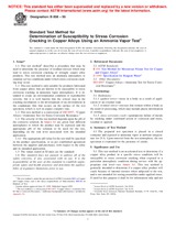 ASTM B858-95 (10.10.2001)