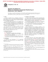 ASTM C793-04 (1.7.2004)