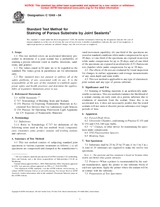 ASTM C1248-04 (1.5.2004)
