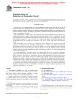 ASTM C1528-10 (1.9.2010)