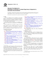 ASTM D1654-05 (1.3.2005)