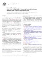 ASTM A795/A795M-13 (1.5.2013)