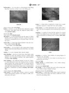 ASTM D3990-12e1 (1.7.2012)