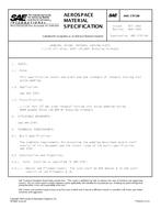 SAE AMS3797/6B (1.3.1994)